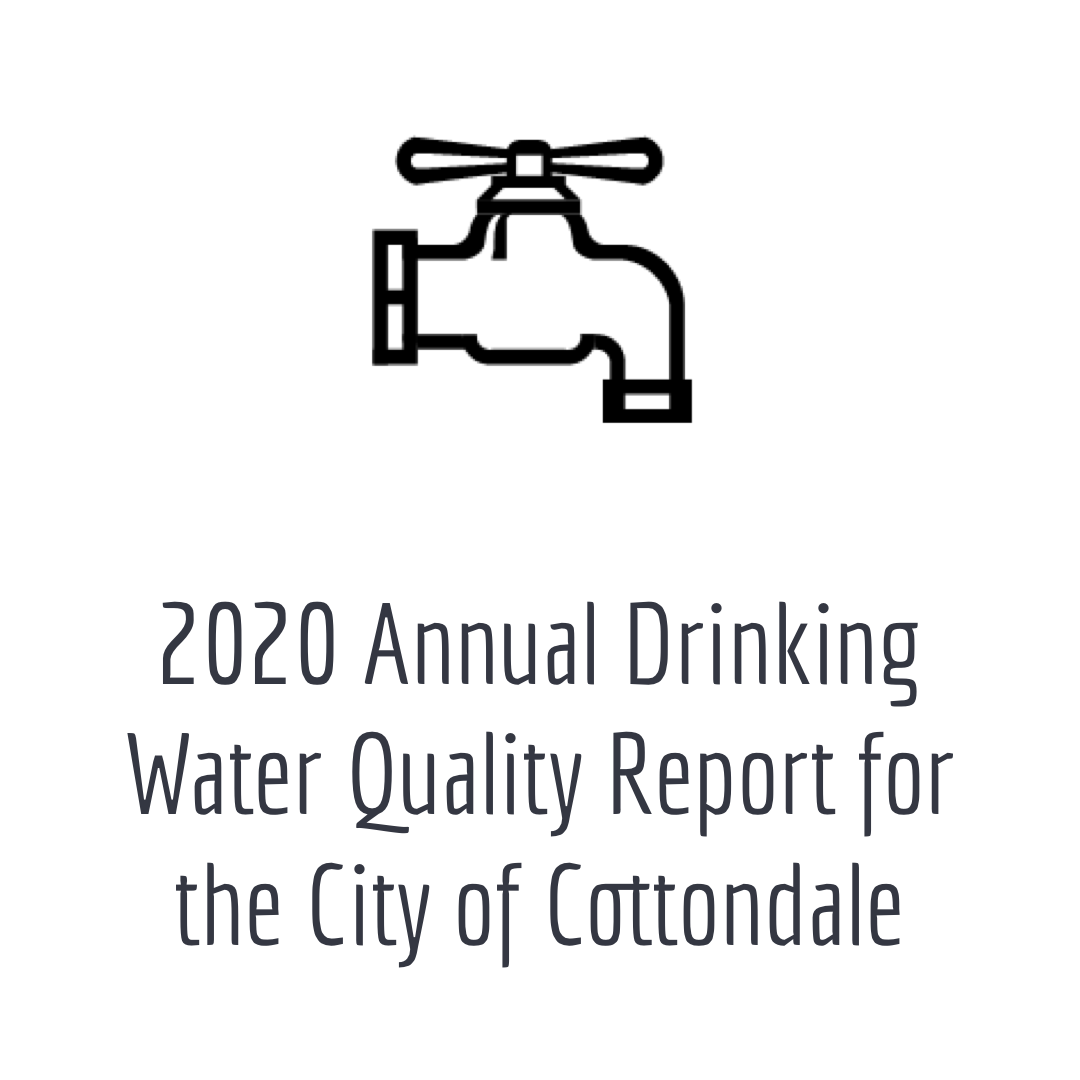 2020 Annual Drinking Water Quality Report for The City of Cottondale