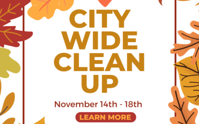 Fall 2022 City Wide Clean Up